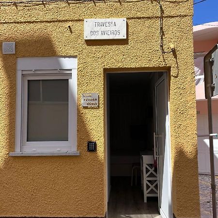 Casas Dona Emilia Διαμέρισμα Vieira de Leiria Εξωτερικό φωτογραφία